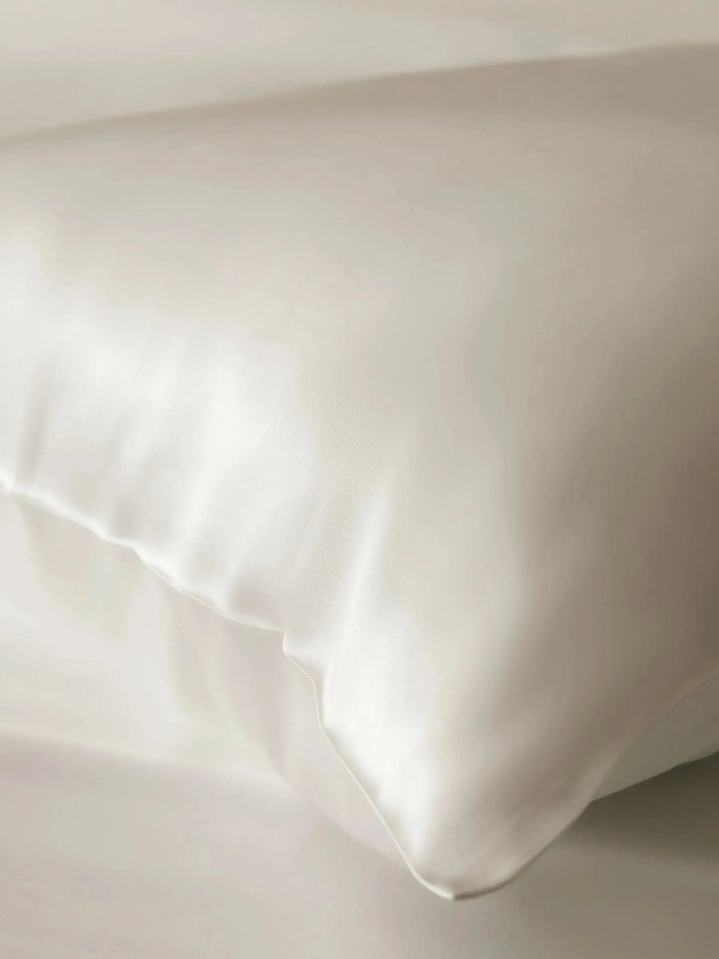 22 Momme federa di seta - set di 2 pezzi Order bump